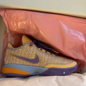 Lebron basketball shoes.